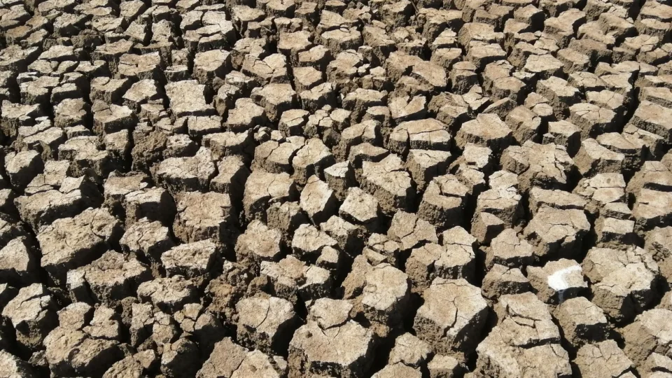 A detailed view of cracked earth during a drought, showcasing dry and barren soil.