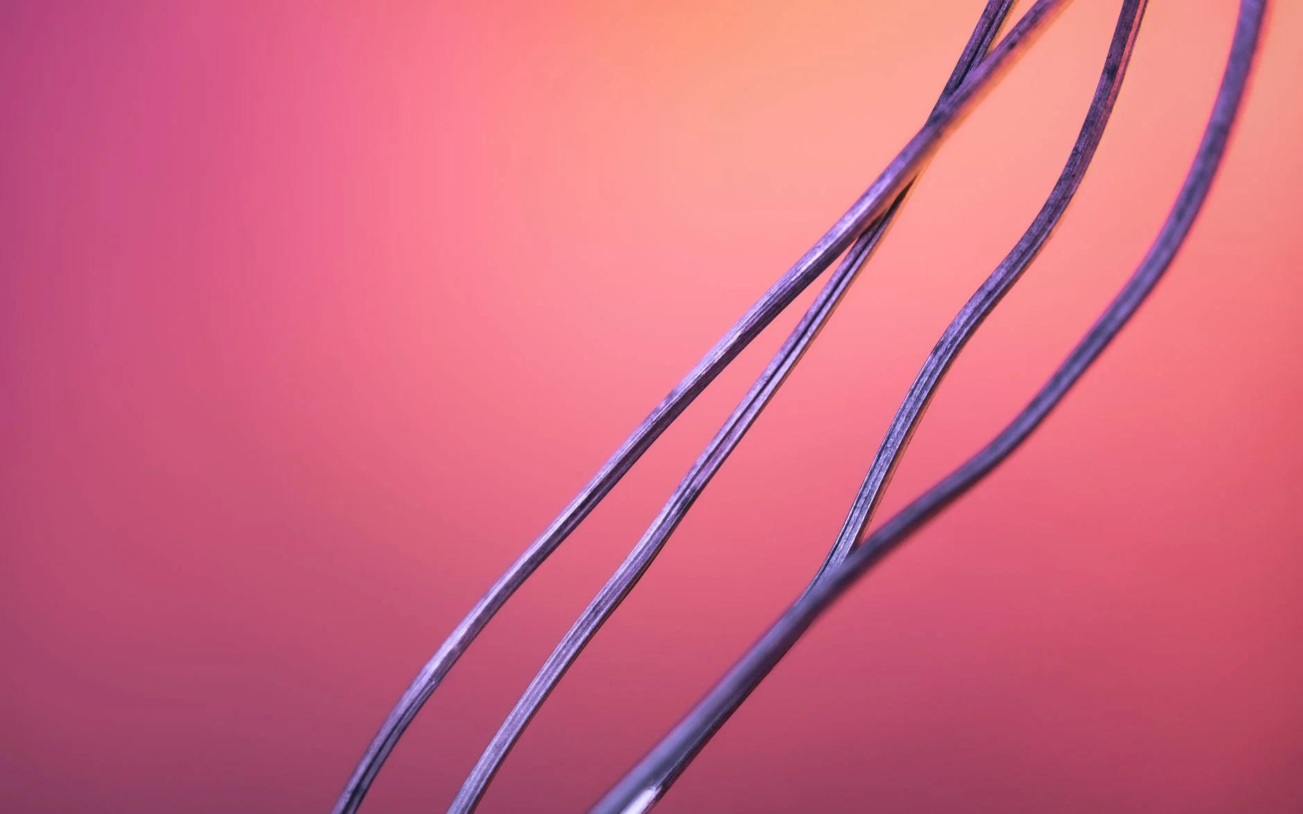 Purple wires against a pink gradient create a modern abstract composition.