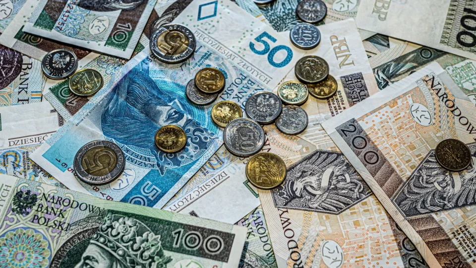 Close-up of Polish złoty currency, including various banknotes and coins scattered.
