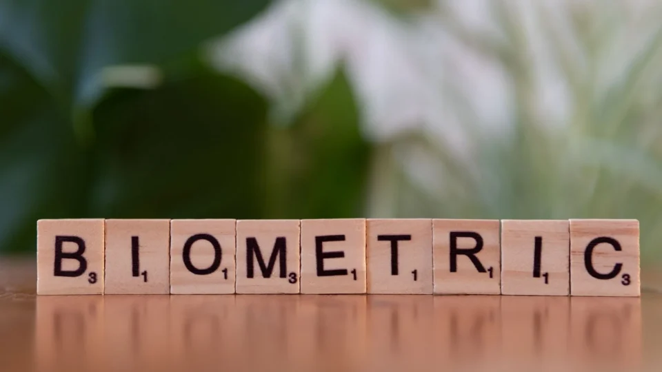 Close-up of wooden blocks spelling 'BIOMETRIC,' symbolizing biometric technology and identity recognition.