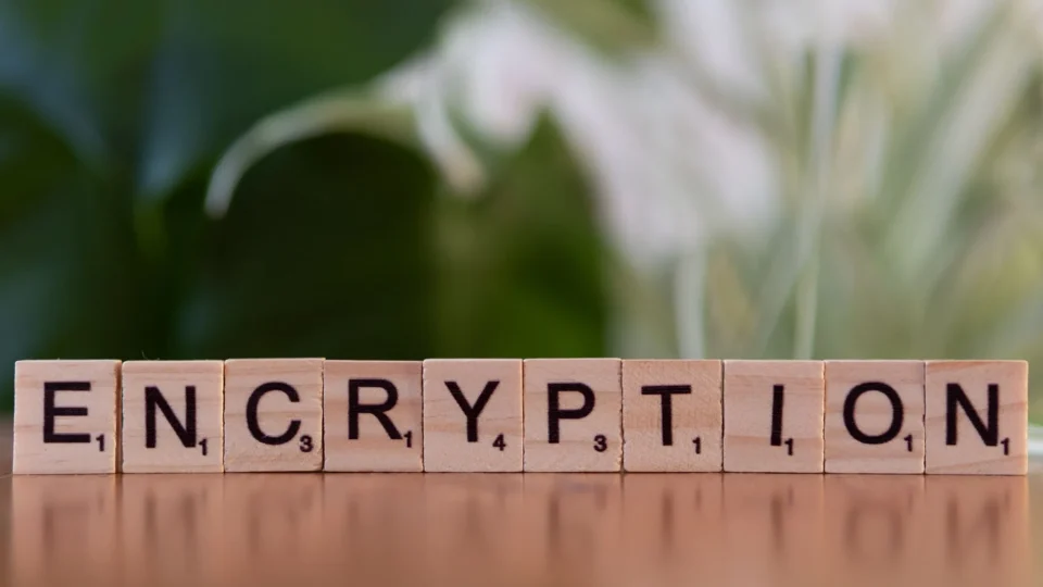 Close-up of wooden blocks spelling 'encryption', symbolizing data security and digital protection.
