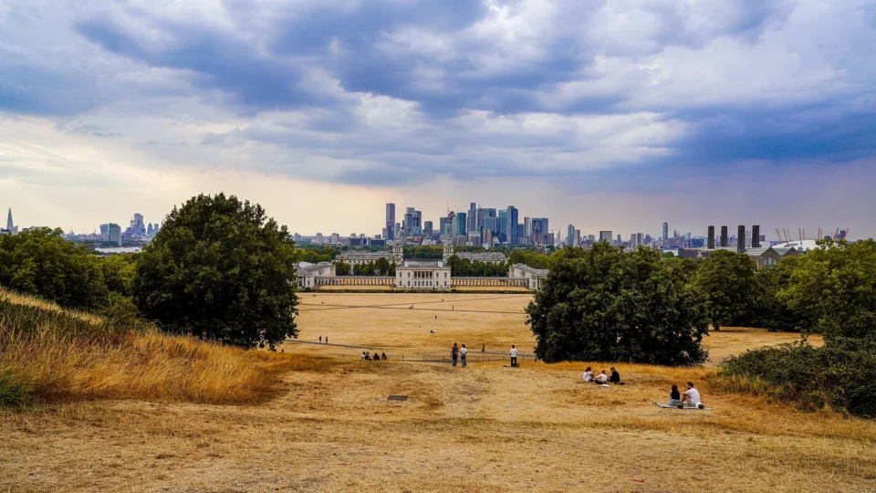 Scorched brown grass in a London park during a heatwave