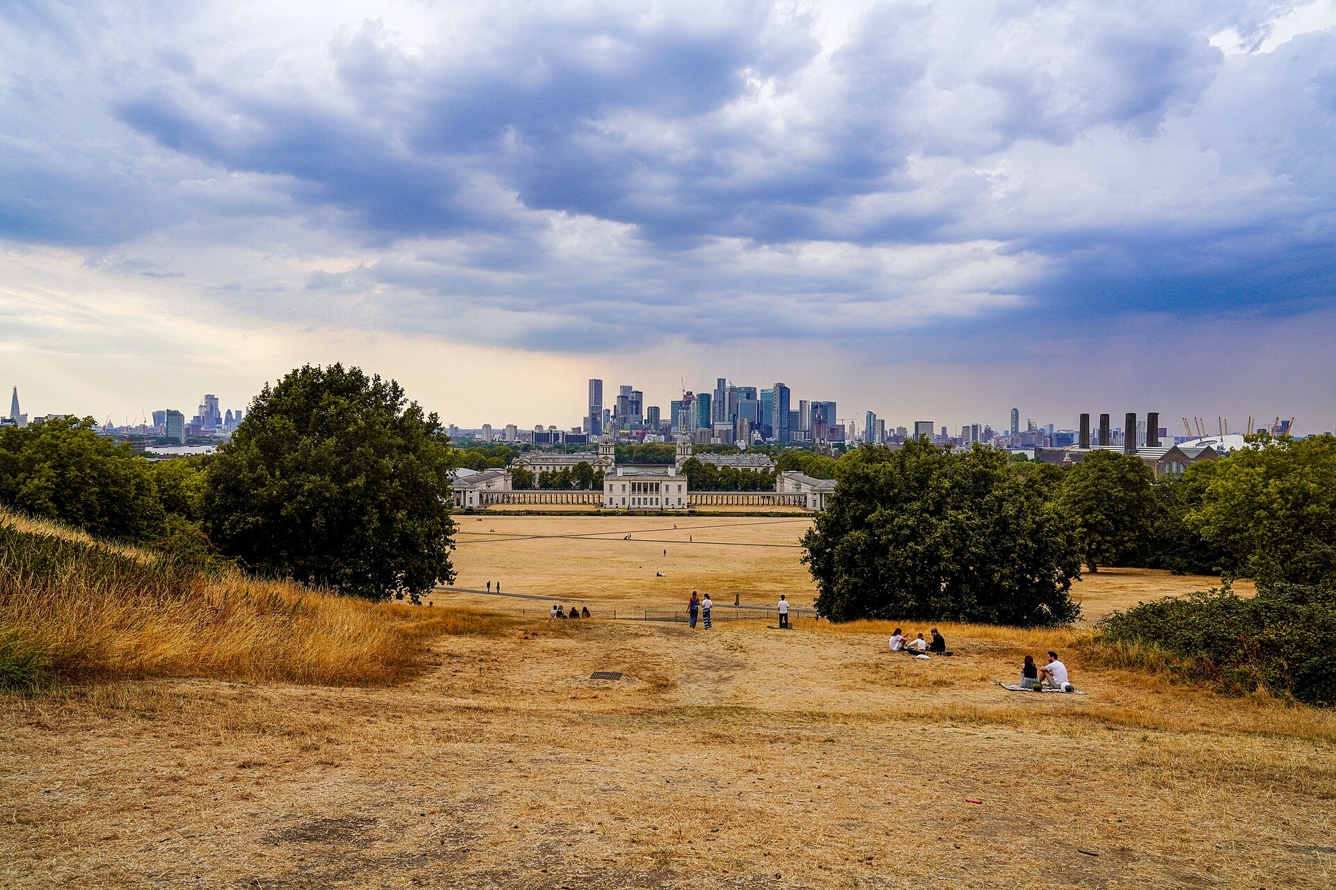Scorched brown grass in a London park during a heatwave
