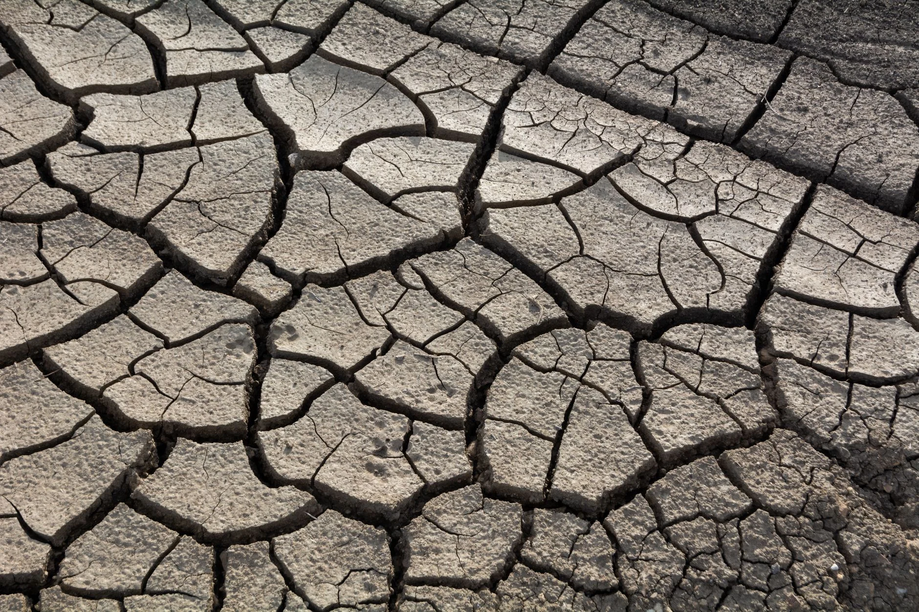 Close-up of cracked dry earth highlighting drought impact and climate change.