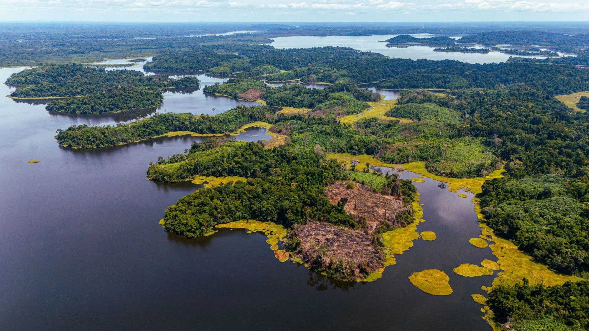 Aerial view of lush greenery and water bodies in a forest reserve, showcasing nature's beauty.