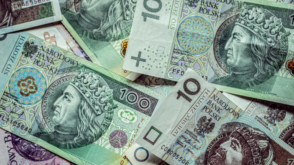 Close-up of various Polish Zloty banknotes, displaying currency and finance.
