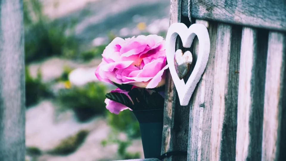 Charming rustic wooden bench adorned with pink flowers and a heart decoration, ideal for romantic settings.