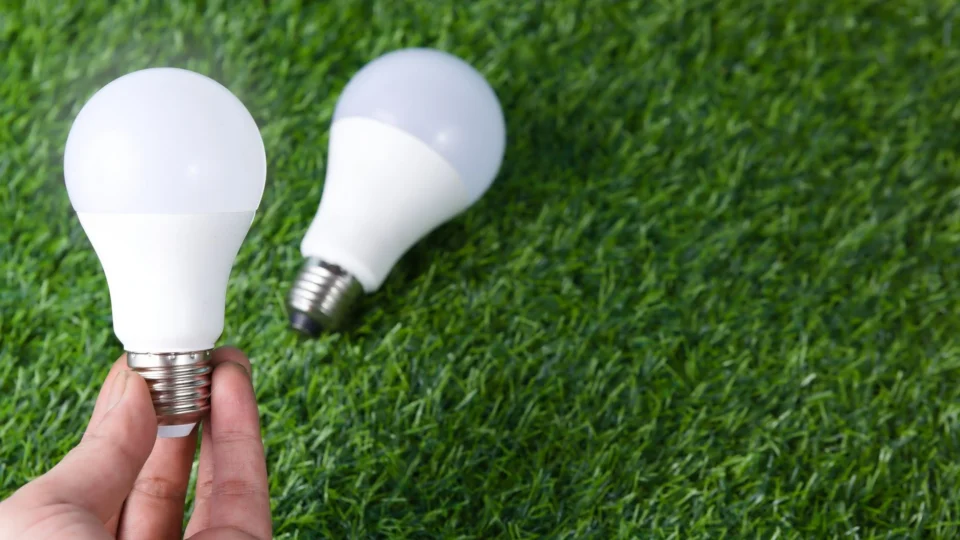 Hand holding LED light bulb on a grass surface, representing energy efficiency.