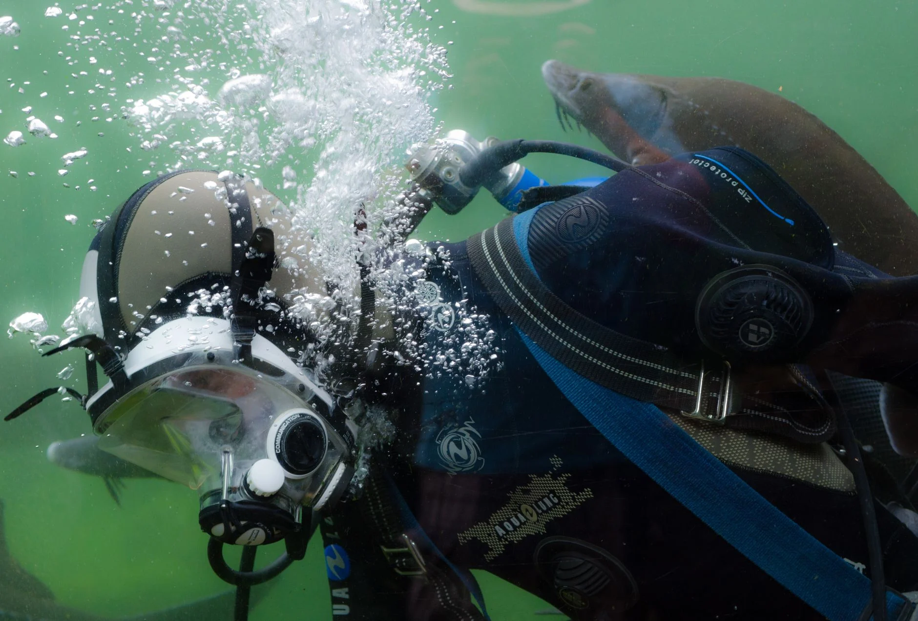 Scuba diver in gear surrounded by bubbles and marine life in underwater scene.