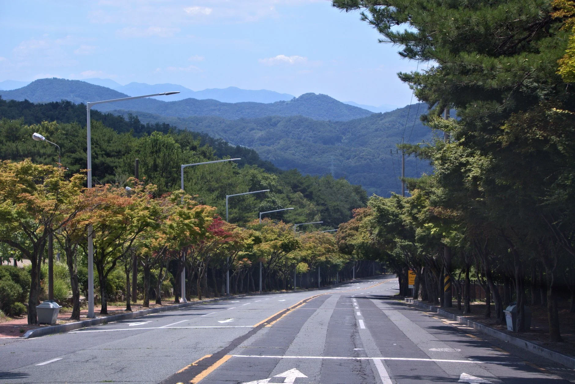 Peaceful tree-lined road in Daegu, South Korea with lush mountains in the background.