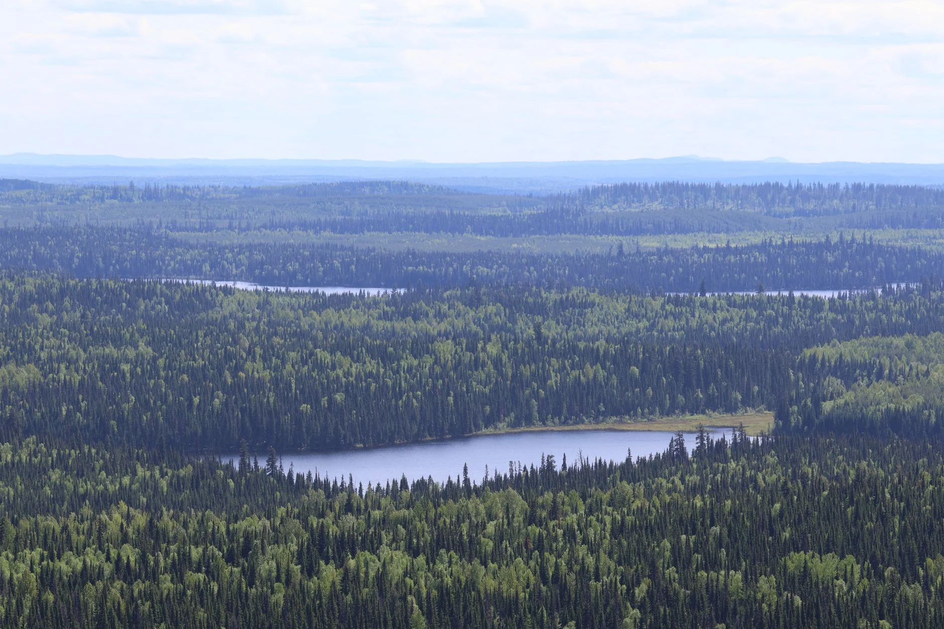 Expansive view of lush forests and serene lakes in British Columbia, Canada.