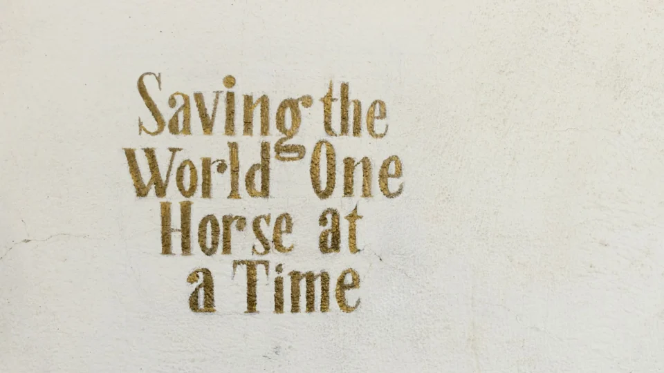 Text 'Saving the World One Horse at a Time' on a textured wall.